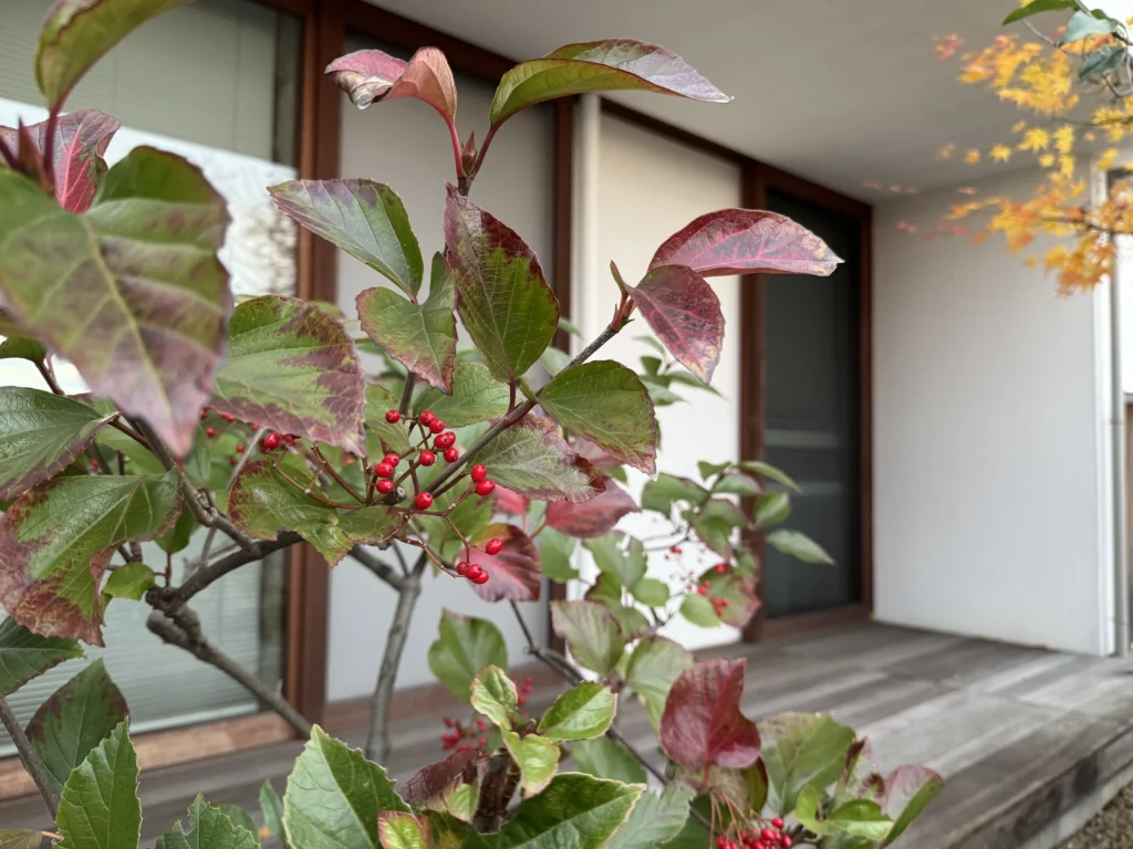 建築に、植栽という呼吸を｜建築と雑木庭をつなぐ植栽デザイン