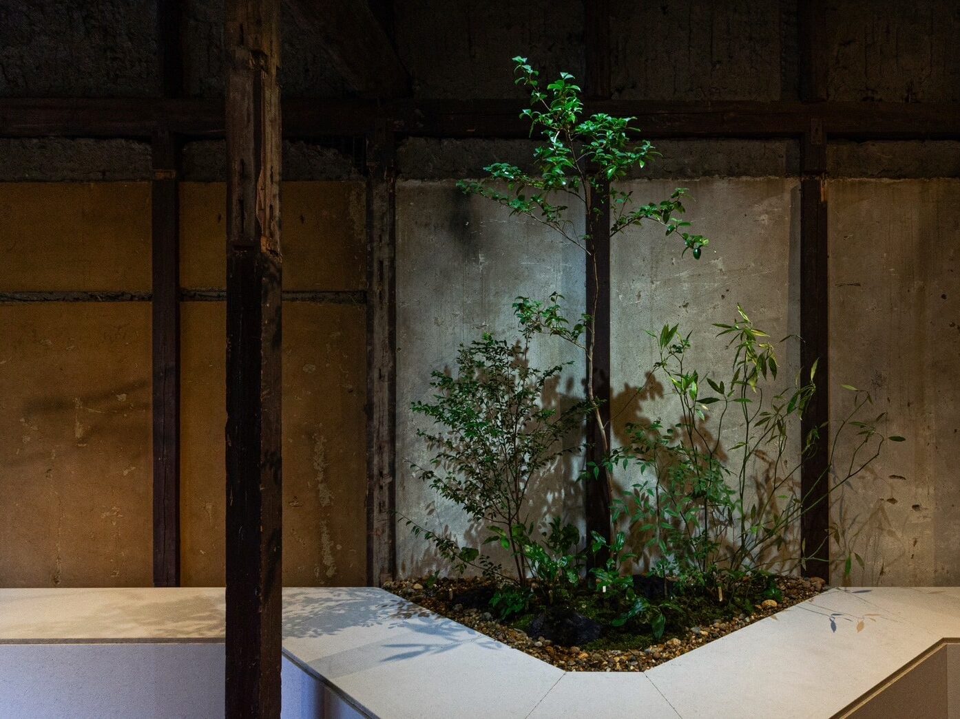 店舗ファサードの植栽